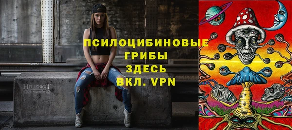 крисы Елабуга