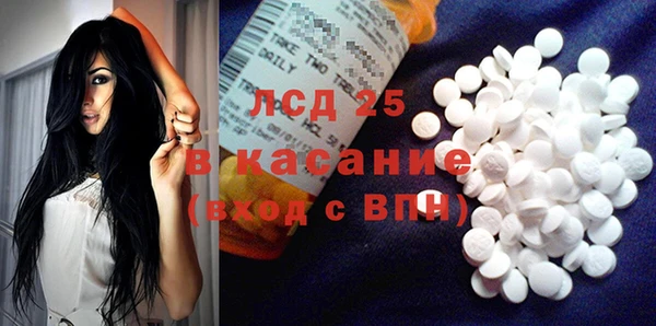 крисы Елабуга