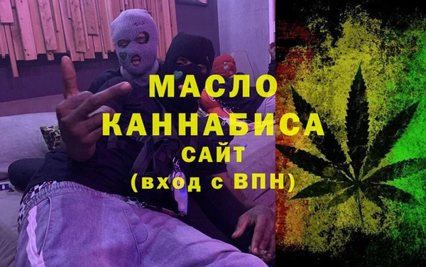 крисы Елабуга