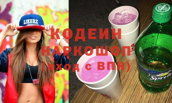 крисы Елабуга